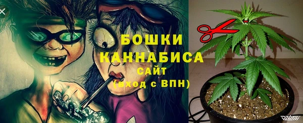 ПСИЛОЦИБИНОВЫЕ ГРИБЫ Вязники